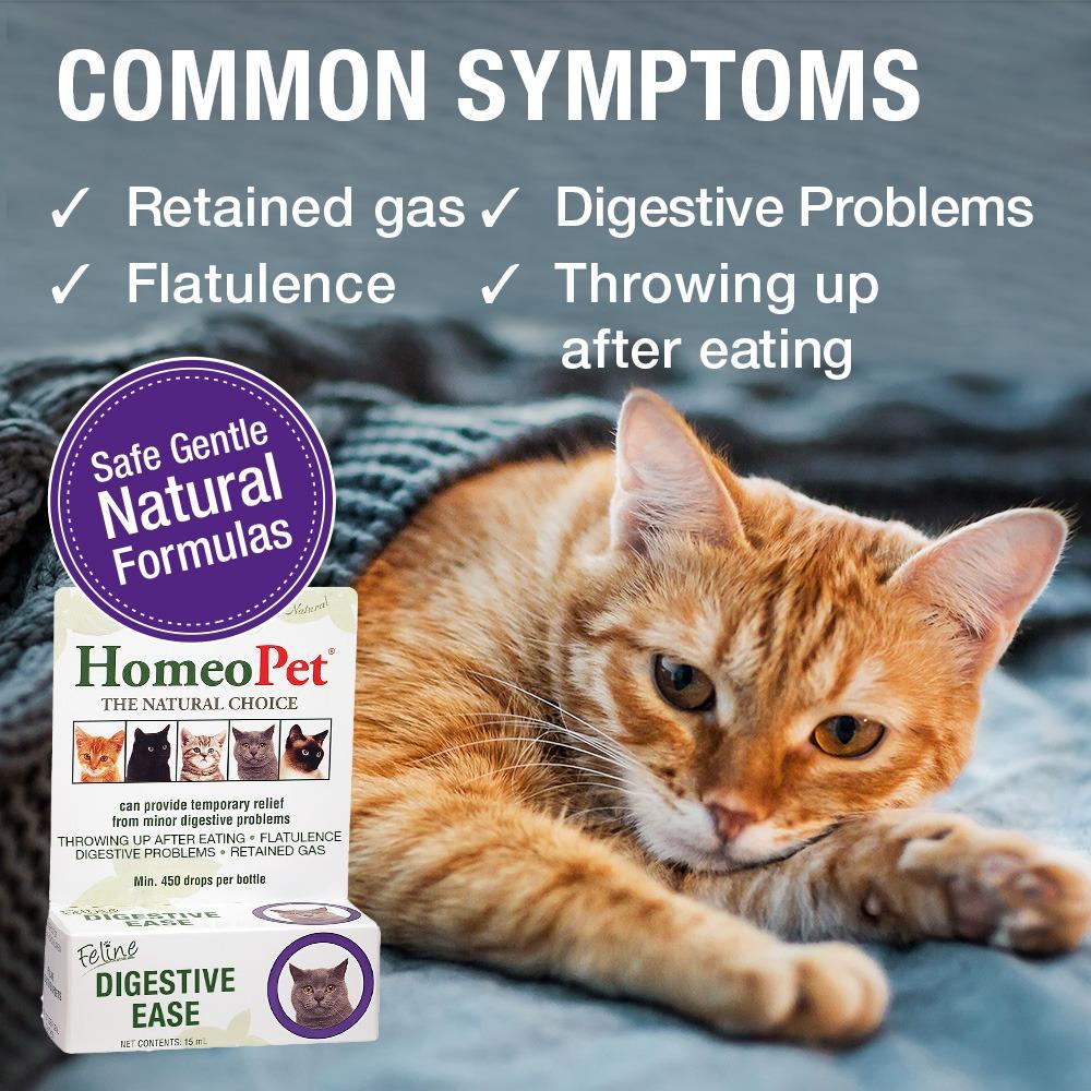 HomeoPet Feline Digestive Cat Liquid Drops 15ml