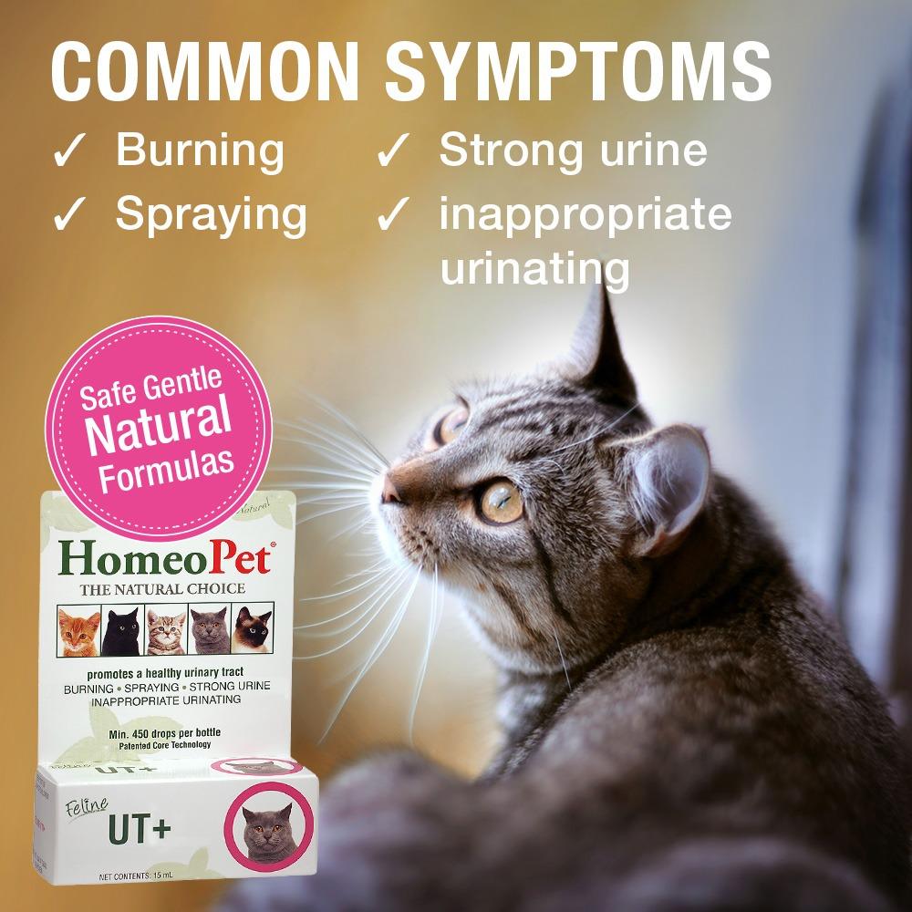 HomeoPet Feline UTI+ Cat Liquid Drops 15ml