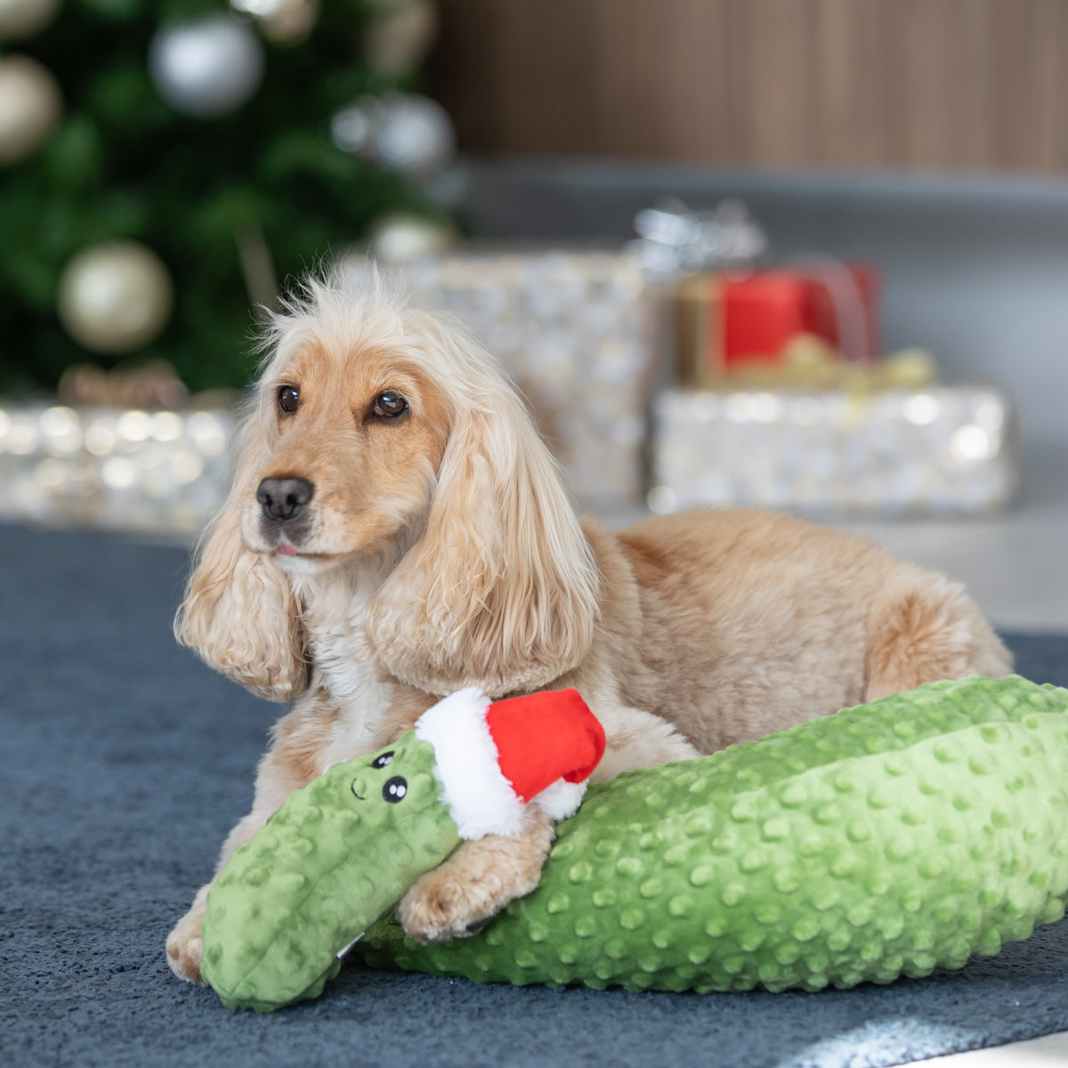 Petstock Christmas Pickle Plush Dog Toy