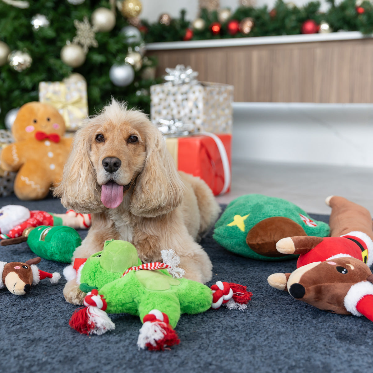 Petstock Christmas Sausage Plush Dog Toy Large