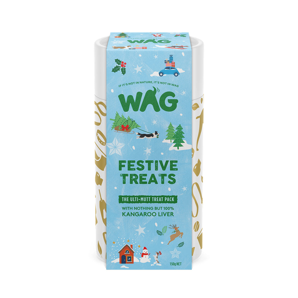 WAG Christmas Treat Tube Dog Treat