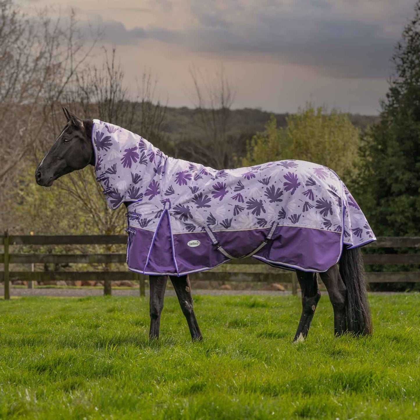 Caribu Alpine Combo Horse Rug 200g Orchid Spray