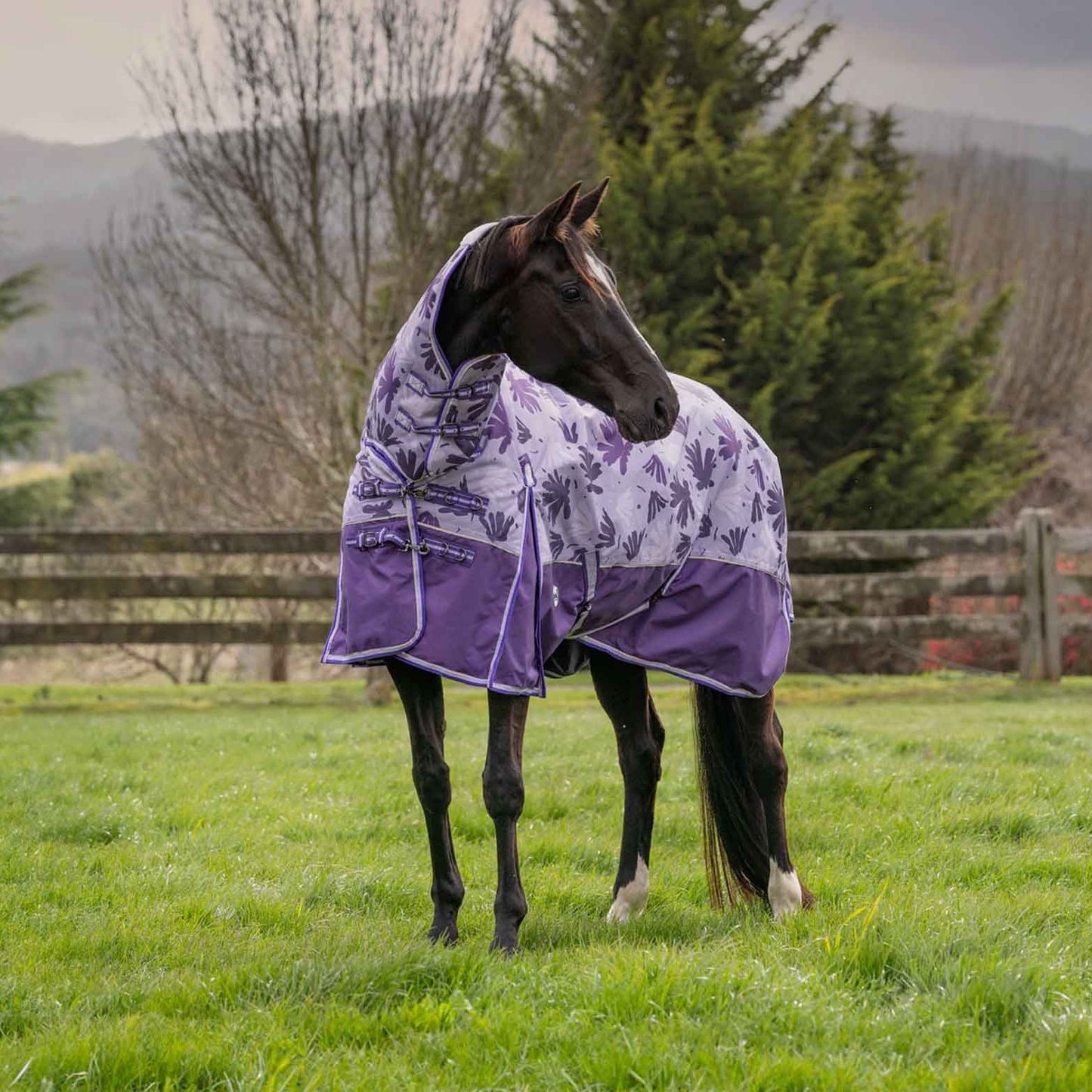 Caribu Alpine Combo Horse Rug 200g Orchid Spray