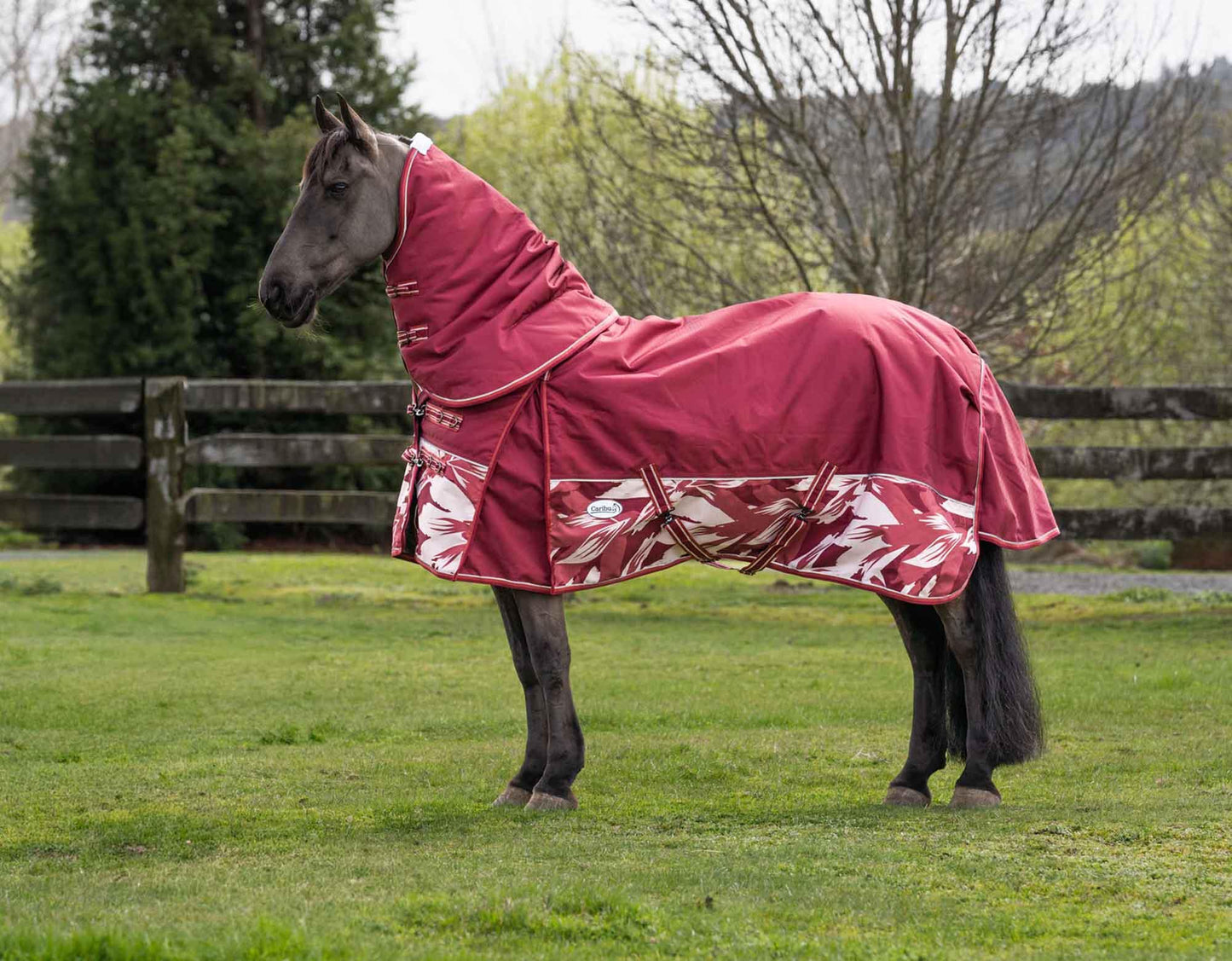Caribu Alpine Gusset XL Detach-a-Neck Horse Rug 200g Fall Mood