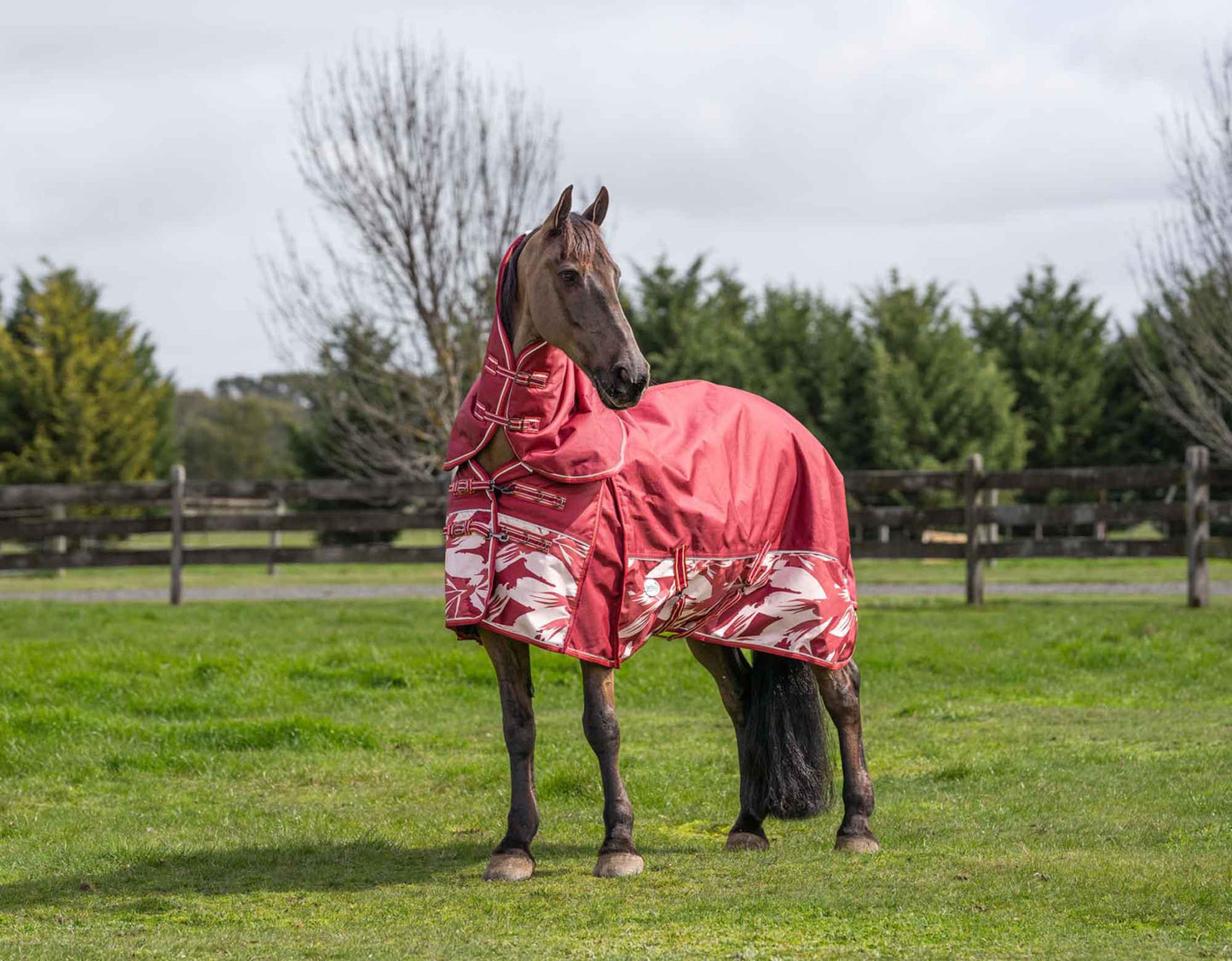 Caribu Alpine Gusset XL Detach-a-Neck Horse Rug 200g Fall Mood