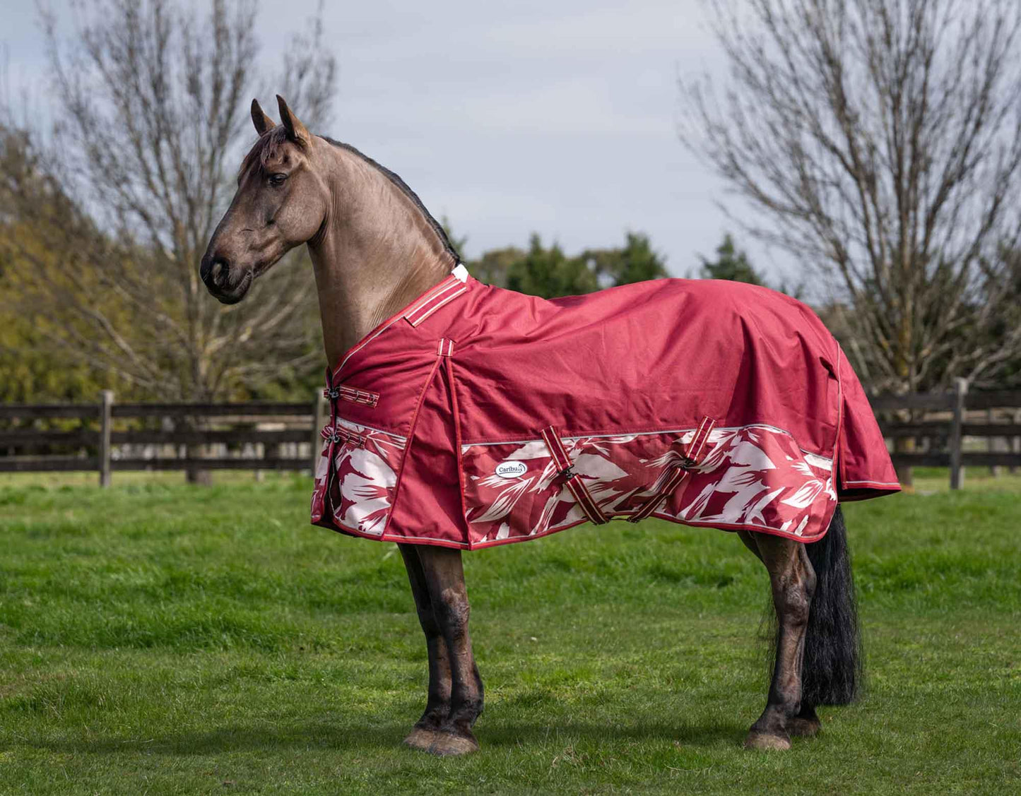 Caribu Alpine Gusset XL Detach-a-Neck Horse Rug 200g Fall Mood