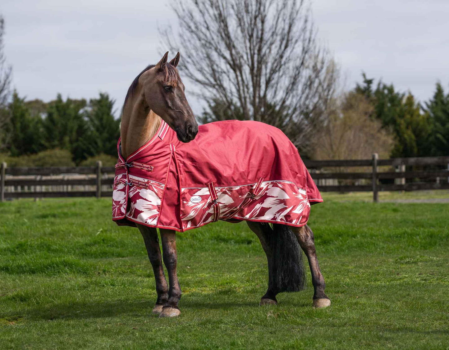 Caribu Alpine Gusset XL Detach-a-Neck Horse Rug 200g Fall Mood