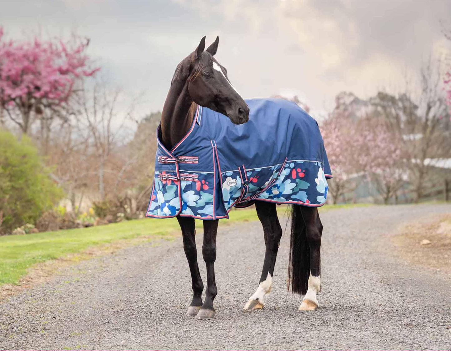 Caribu Alpine Detach-a-Neck Horse Rug 250g Abstract Floral