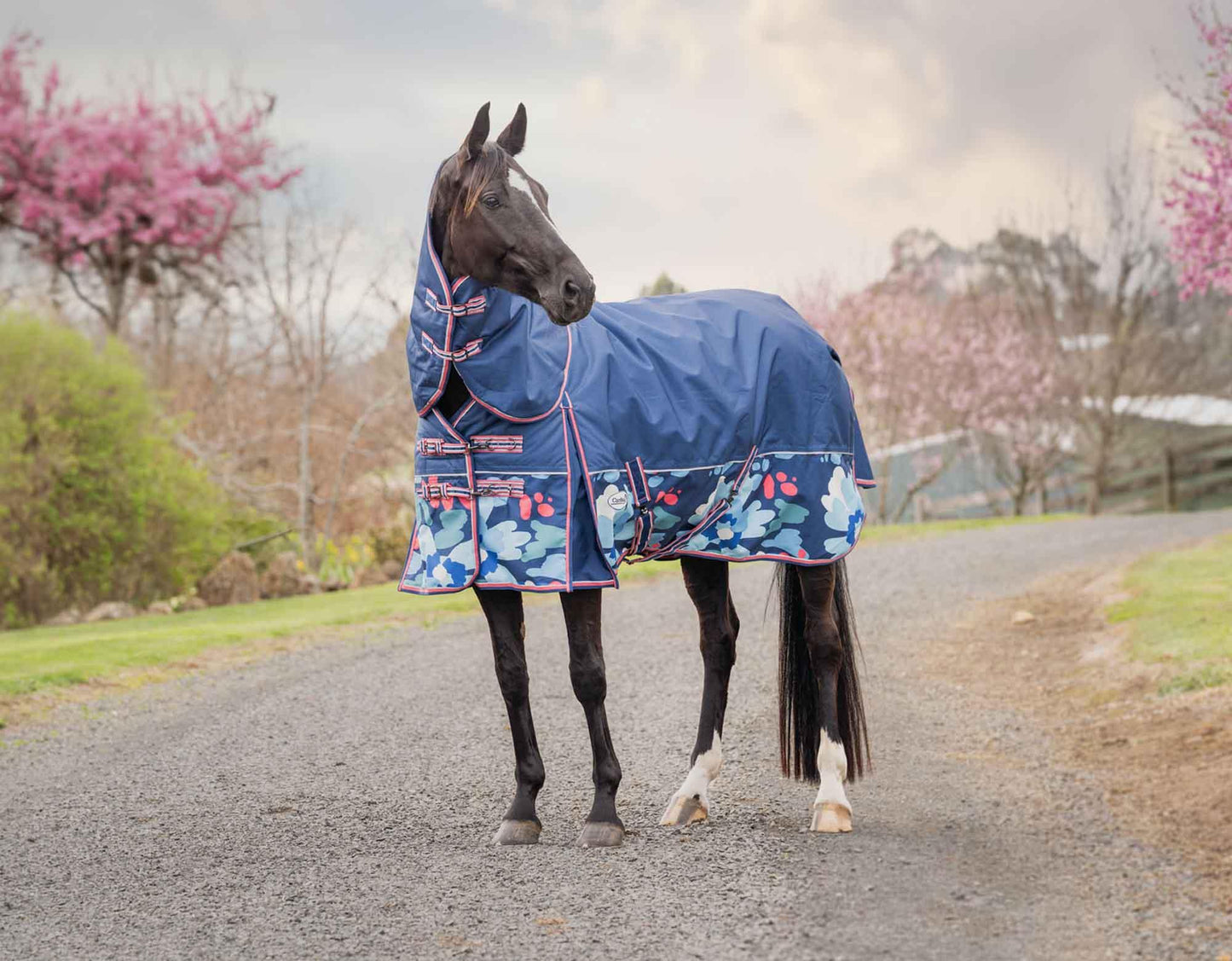 Caribu Alpine Detach-a-Neck Horse Rug 250g Abstract Floral