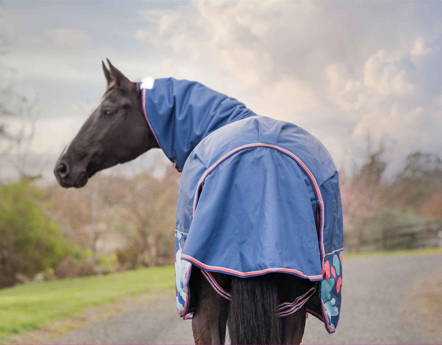 Caribu Alpine Detach-a-Neck Horse Rug 250g Abstract Floral