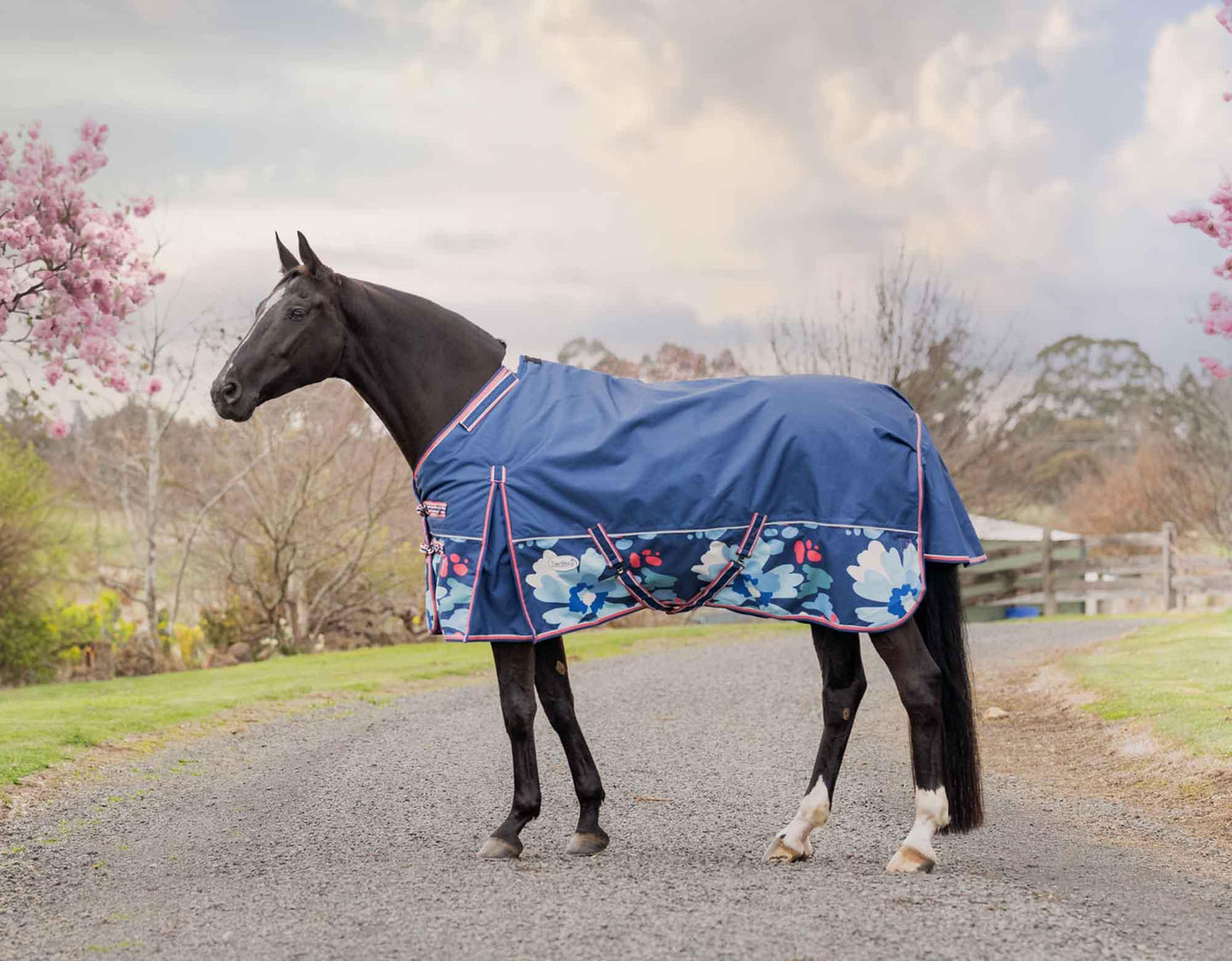Caribu Alpine Detach-a-Neck Horse Rug 250g Abstract Floral