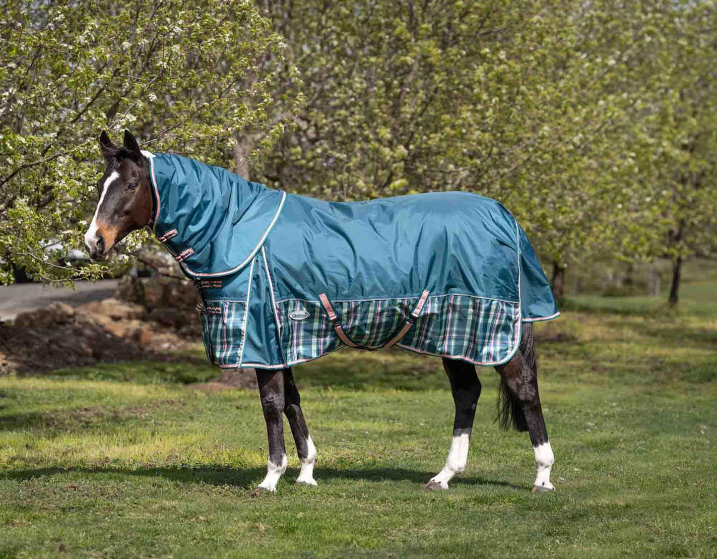 Caribu Colorado Detach-a-Neck Horse Rug 250g Green Tartan