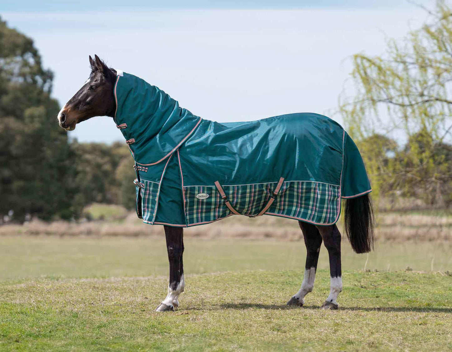 Caribu Colorado Detach-a-Neck Horse Rug 250g Green Tartan