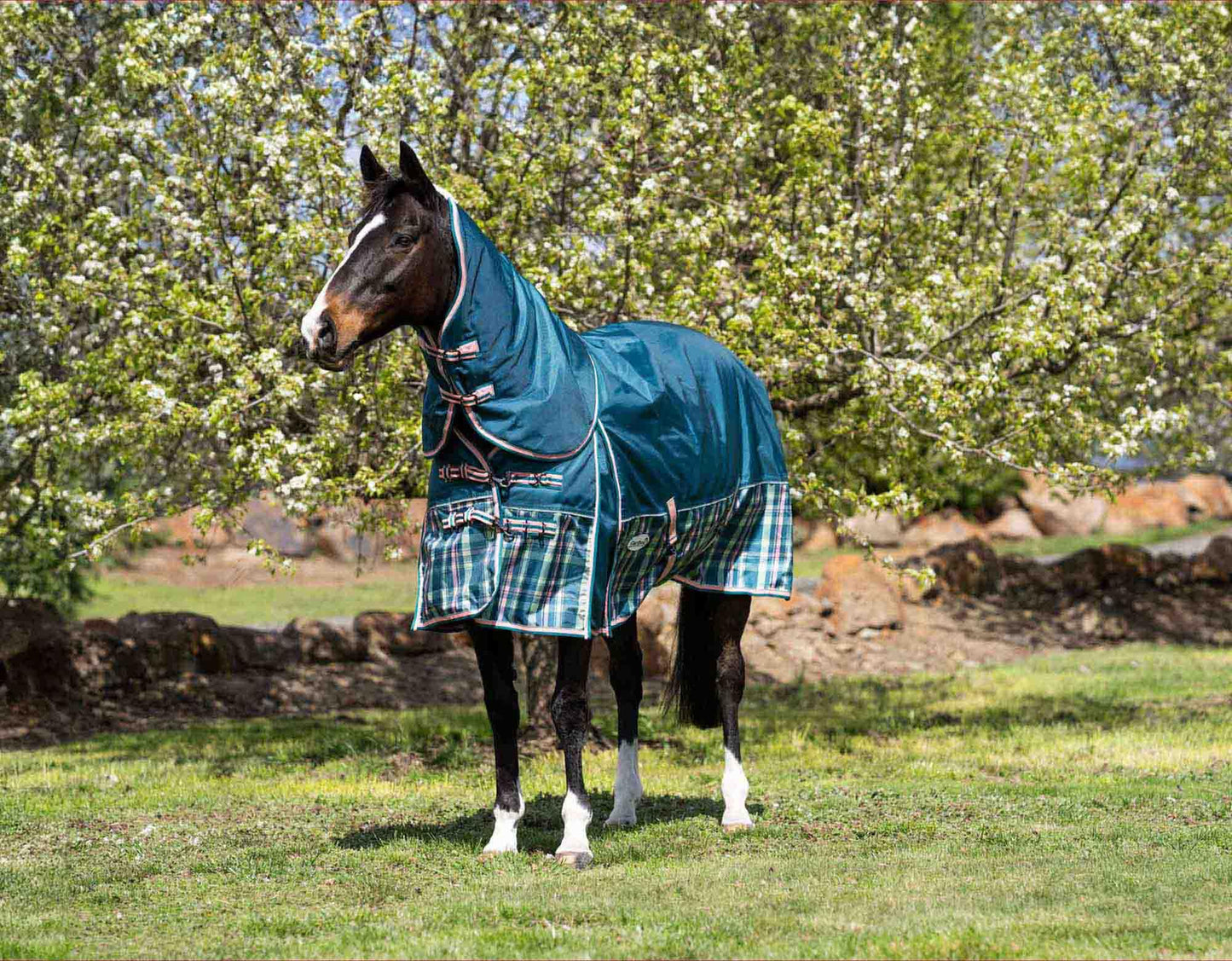 Caribu Colorado Detach-a-Neck Horse Rug 250g Green Tartan