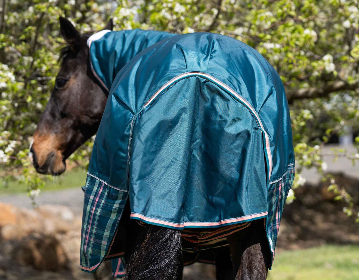 Caribu Colorado Detach-a-Neck Horse Rug 250g Green Tartan