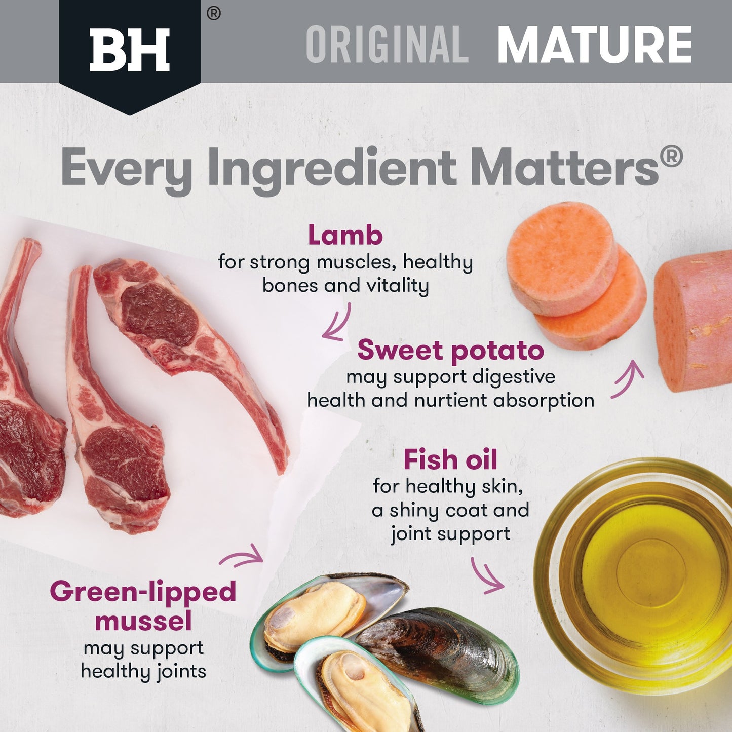 Black Hawk Original Mature Lamb & Rice Dry Dog Food