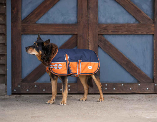 Caribu Alpine Dog Coat