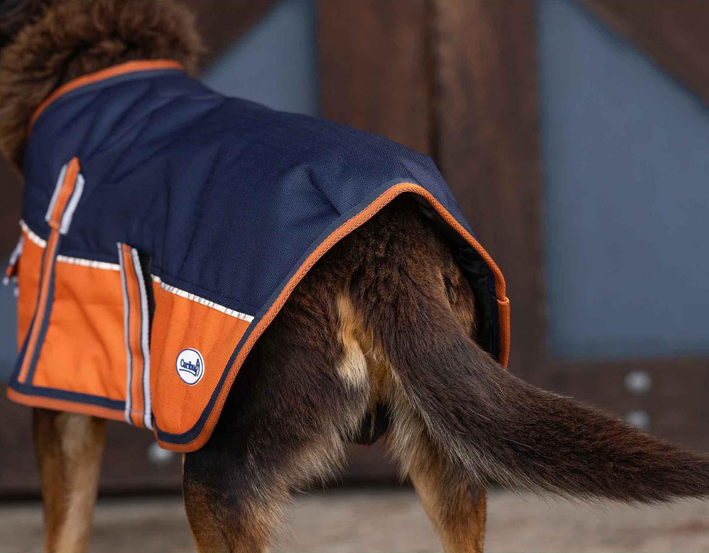 Caribu Alpine Dog Coat