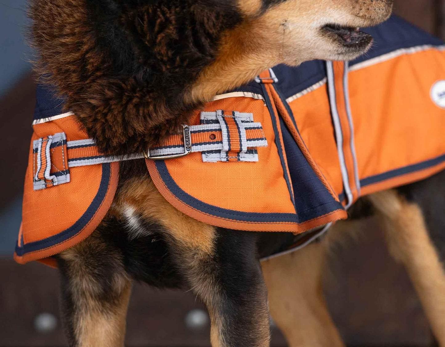 Caribu Alpine Dog Coat