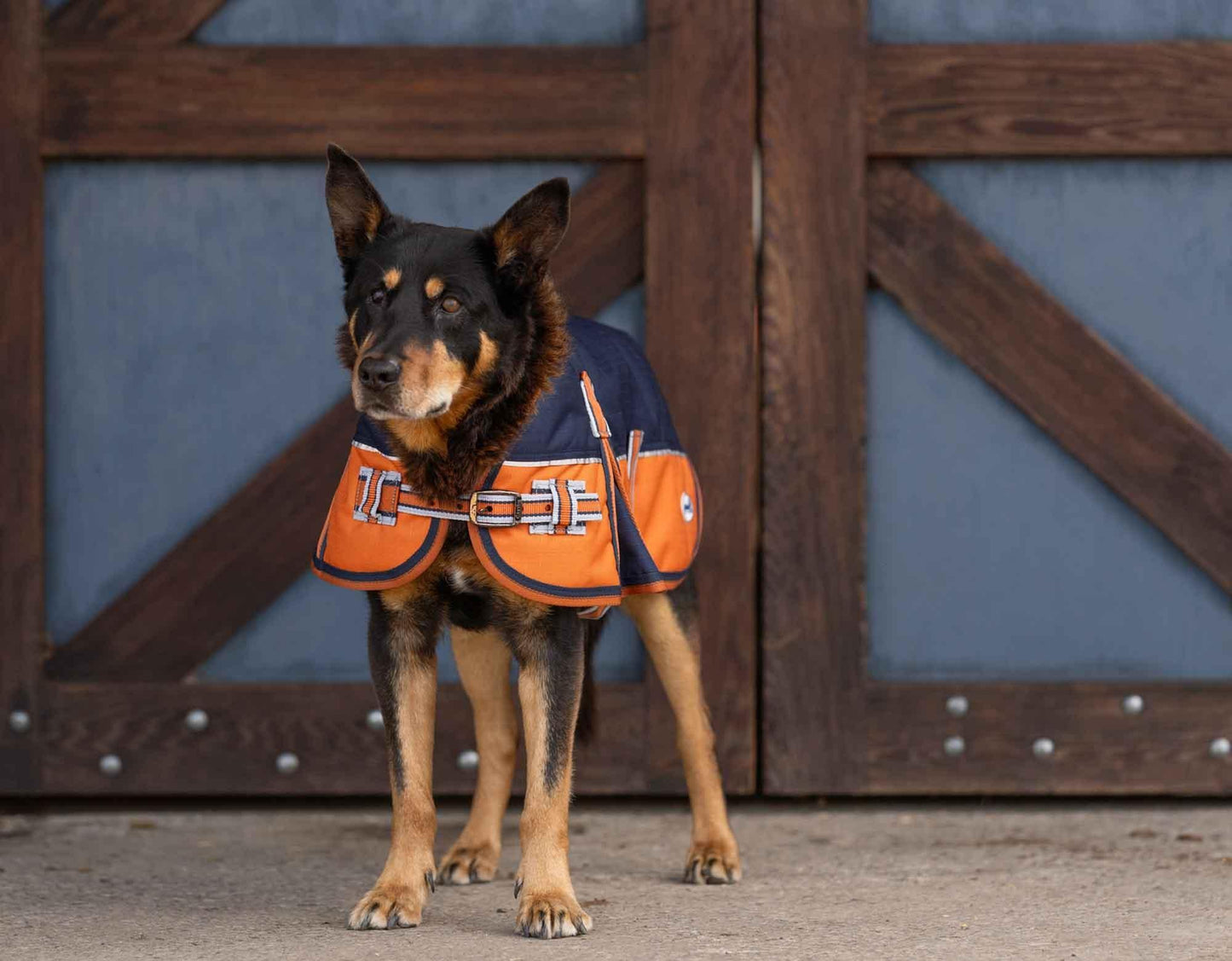 Caribu Alpine Dog Coat
