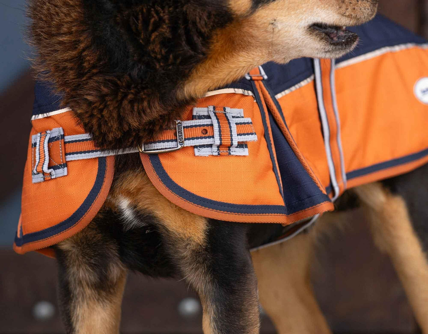 Caribu Alpine Dog Coat