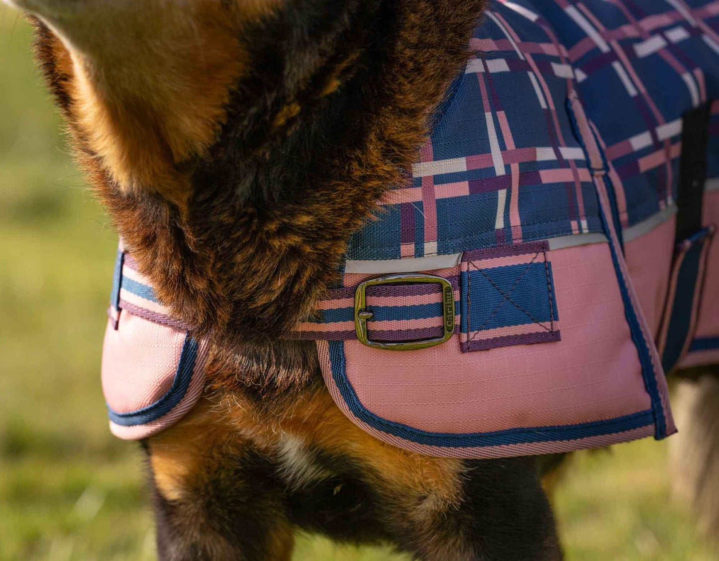 Caribu Alpine Dog Coat