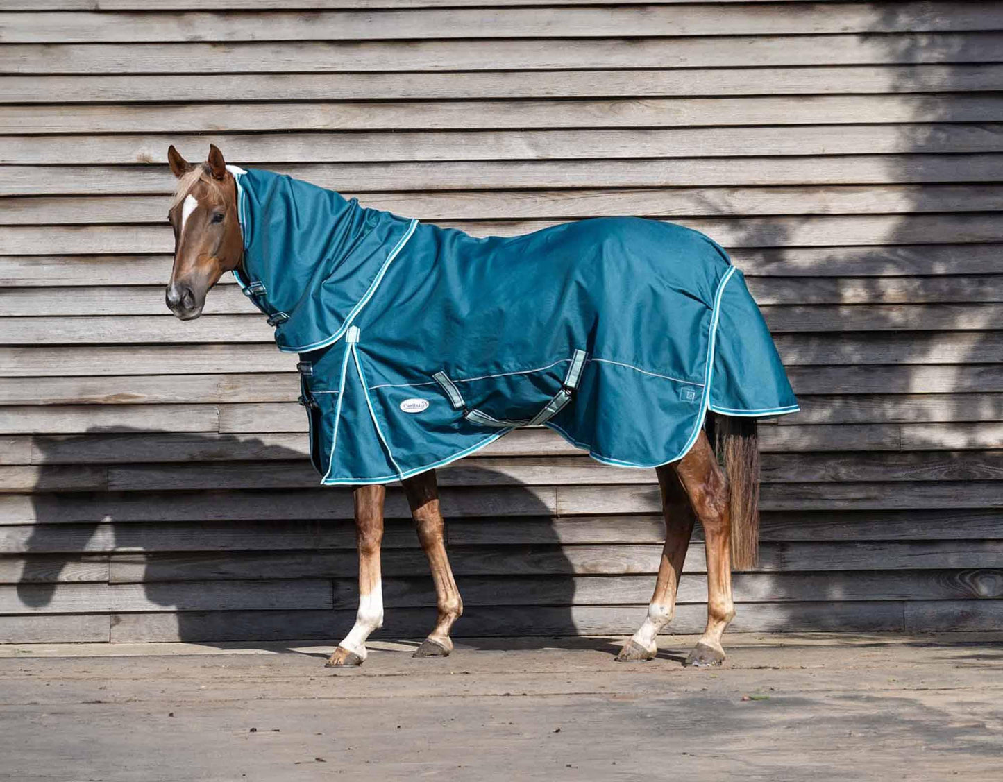 Caribu Eclipse Detach-a-Neck Horse Rainsheet Green
