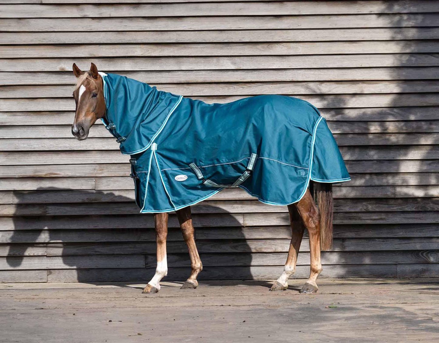 Caribu Eclipse Detach-a-Neck Horse Rainsheet Green