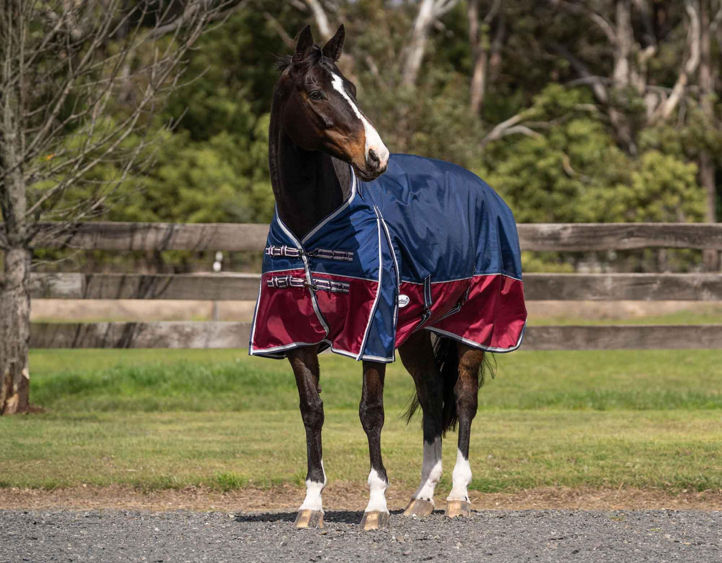 Caribu Colorado Detach-a-Neck Horse Rug 200g Midnight Wine