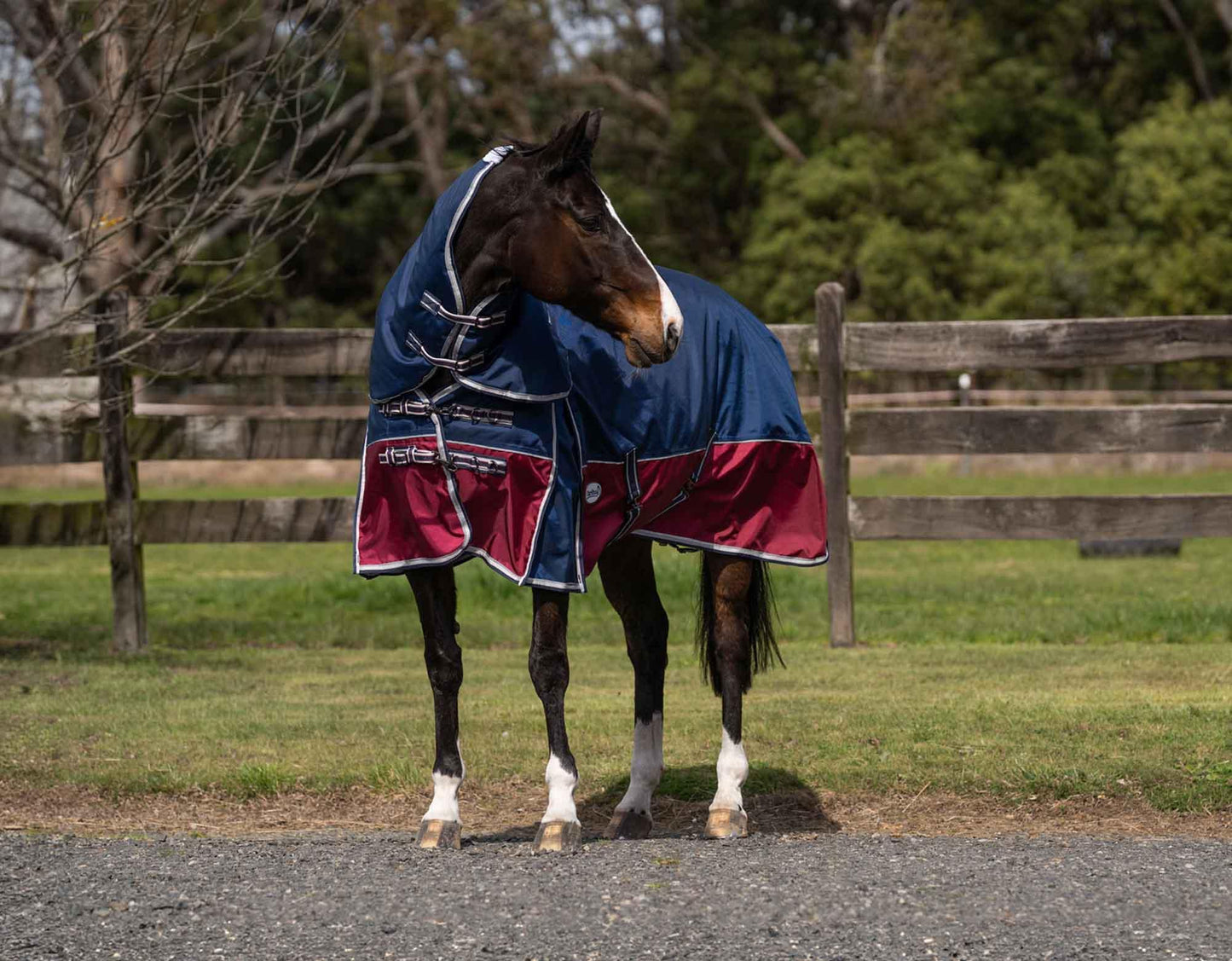 Caribu Colorado Detach-a-Neck Horse Rug 200g Midnight Wine