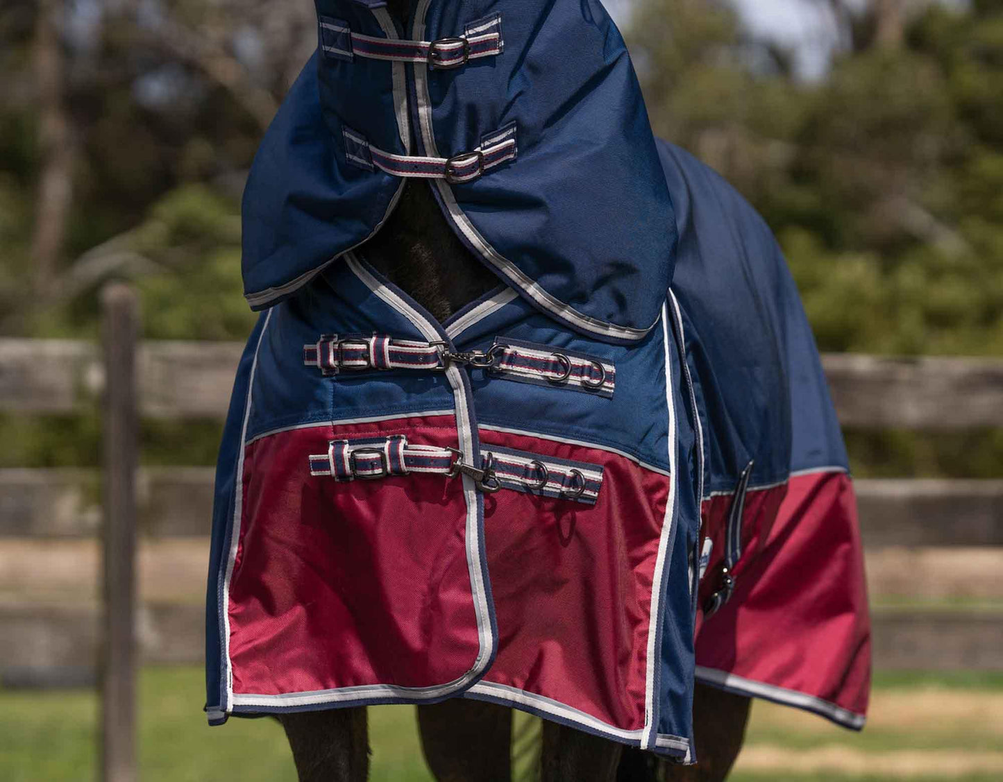 Caribu Colorado Detach-a-Neck Horse Rug 200g Midnight Wine