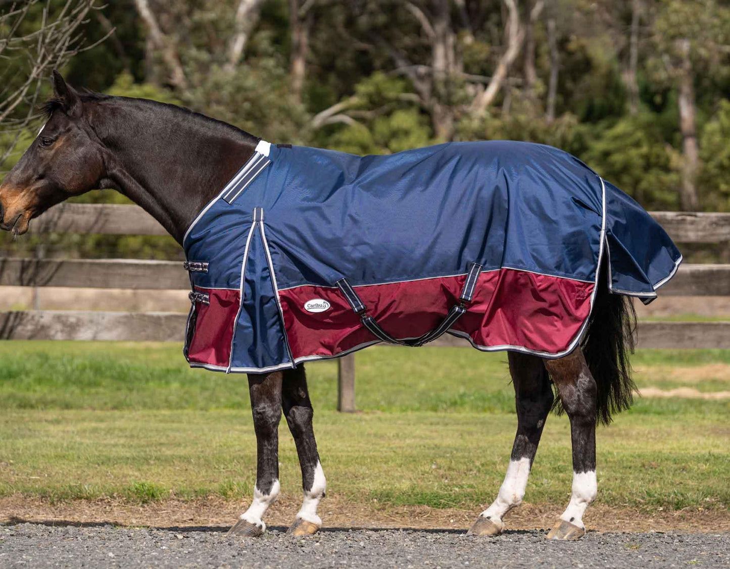 Caribu Colorado Detach-a-Neck Horse Rug 200g Midnight Wine