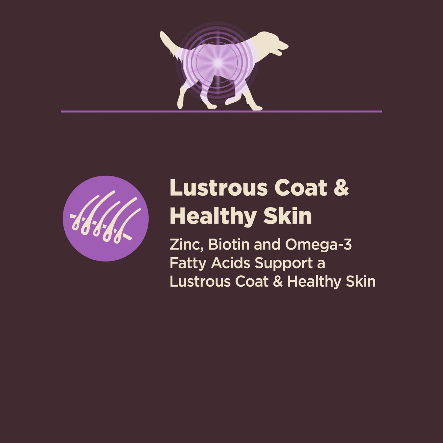 Wellness Core Natural Digestive Health Age Advantage Chicken & Brown Rice Recipe Dry Dog Food