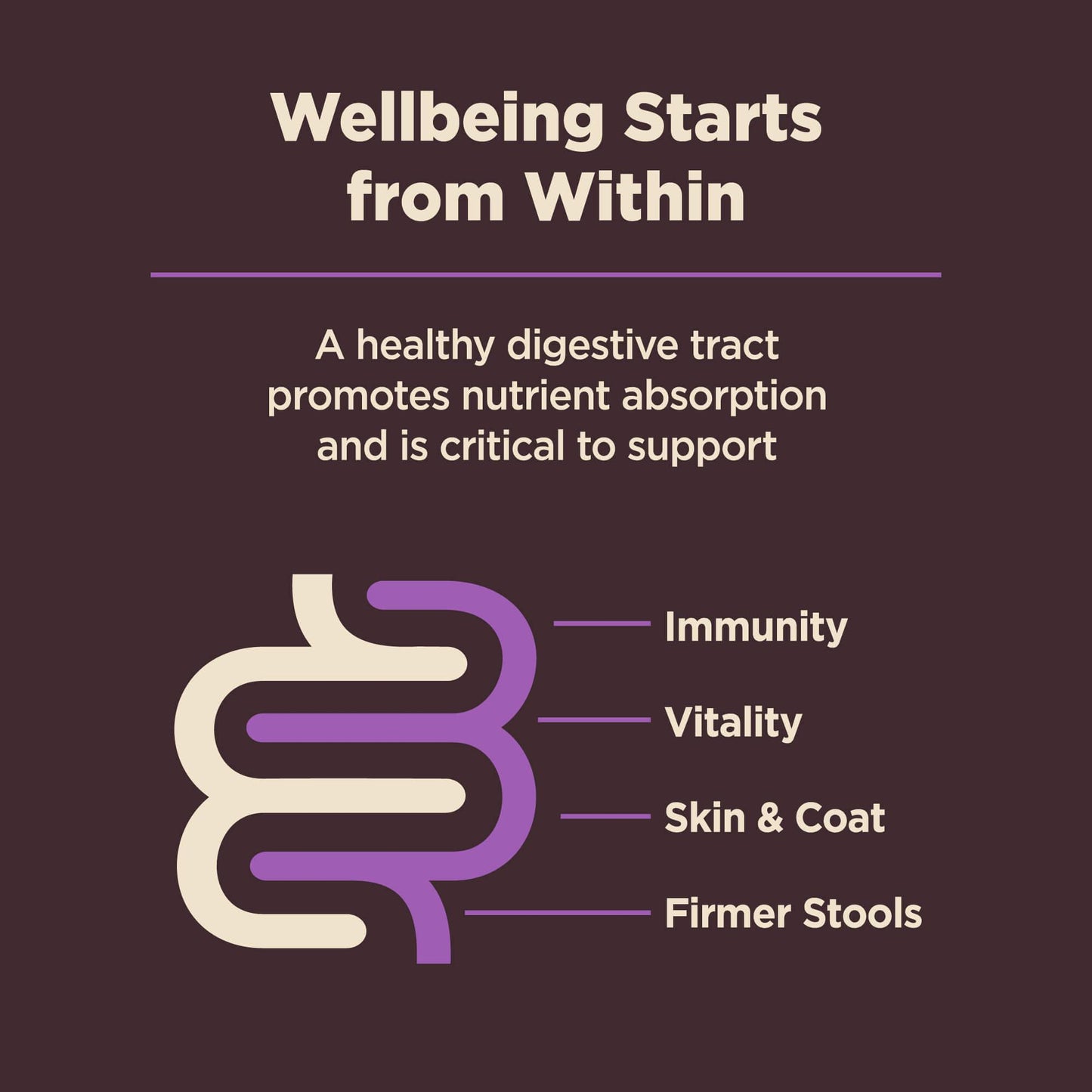 Wellness Core Natural Digestive Health Age Advantage Chicken & Brown Rice Recipe Dry Dog Food