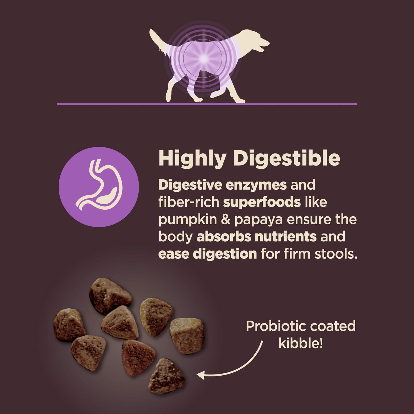 Wellness Core Natural Digestive Health Age Advantage Chicken & Brown Rice Recipe Dry Dog Food
