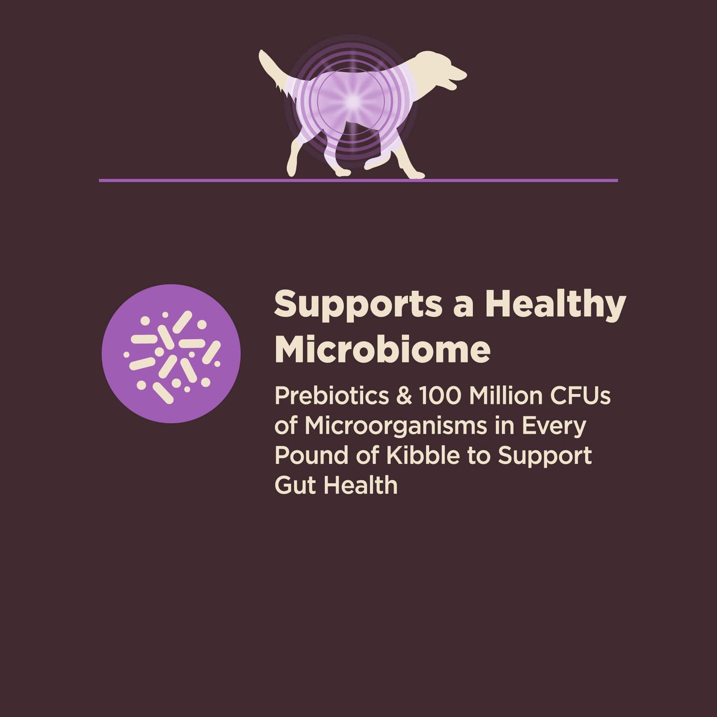 Wellness Core Natural Digestive Health Age Advantage Chicken & Brown Rice Recipe Dry Dog Food