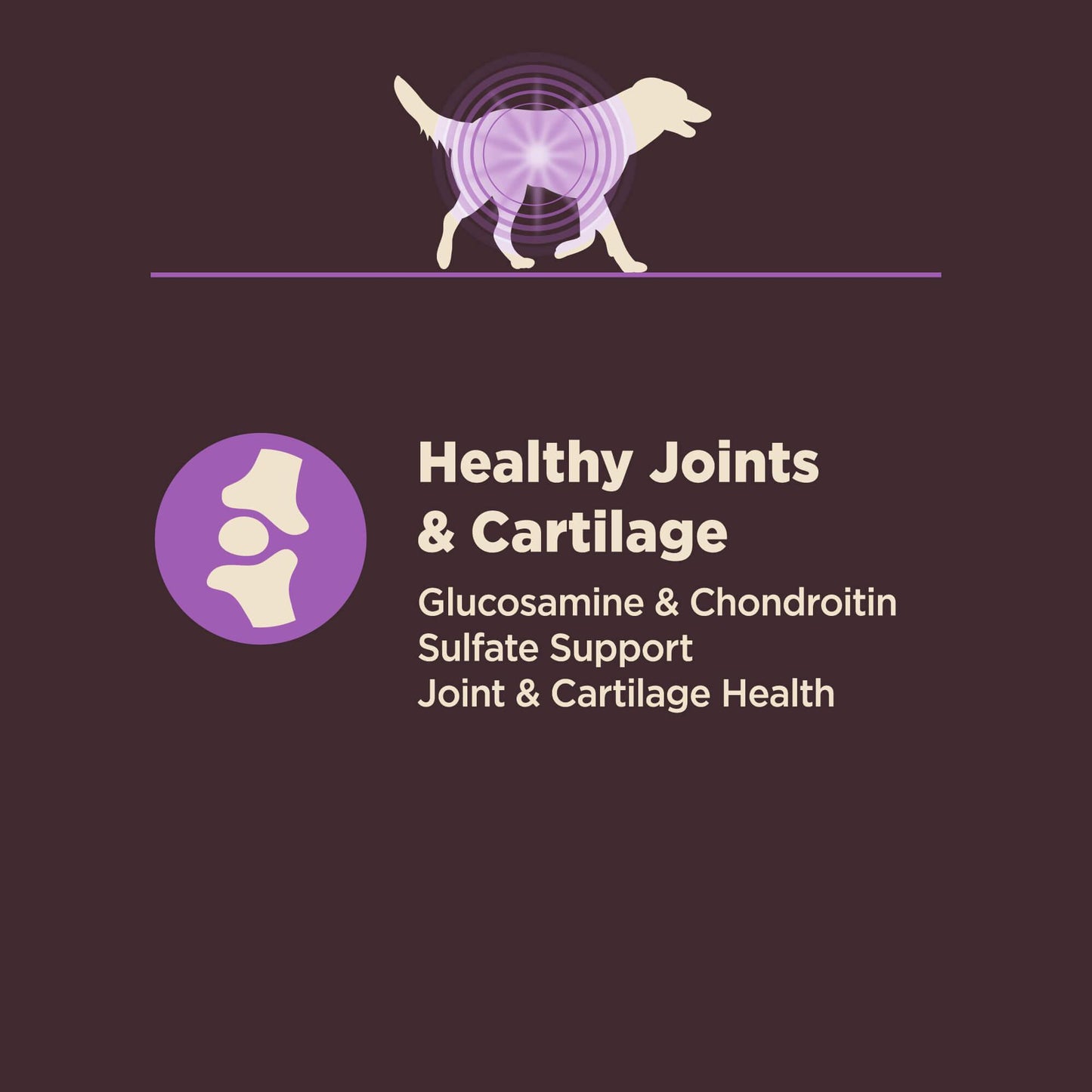 Wellness Core Natural Digestive Health Age Advantage Chicken & Brown Rice Recipe Dry Dog Food