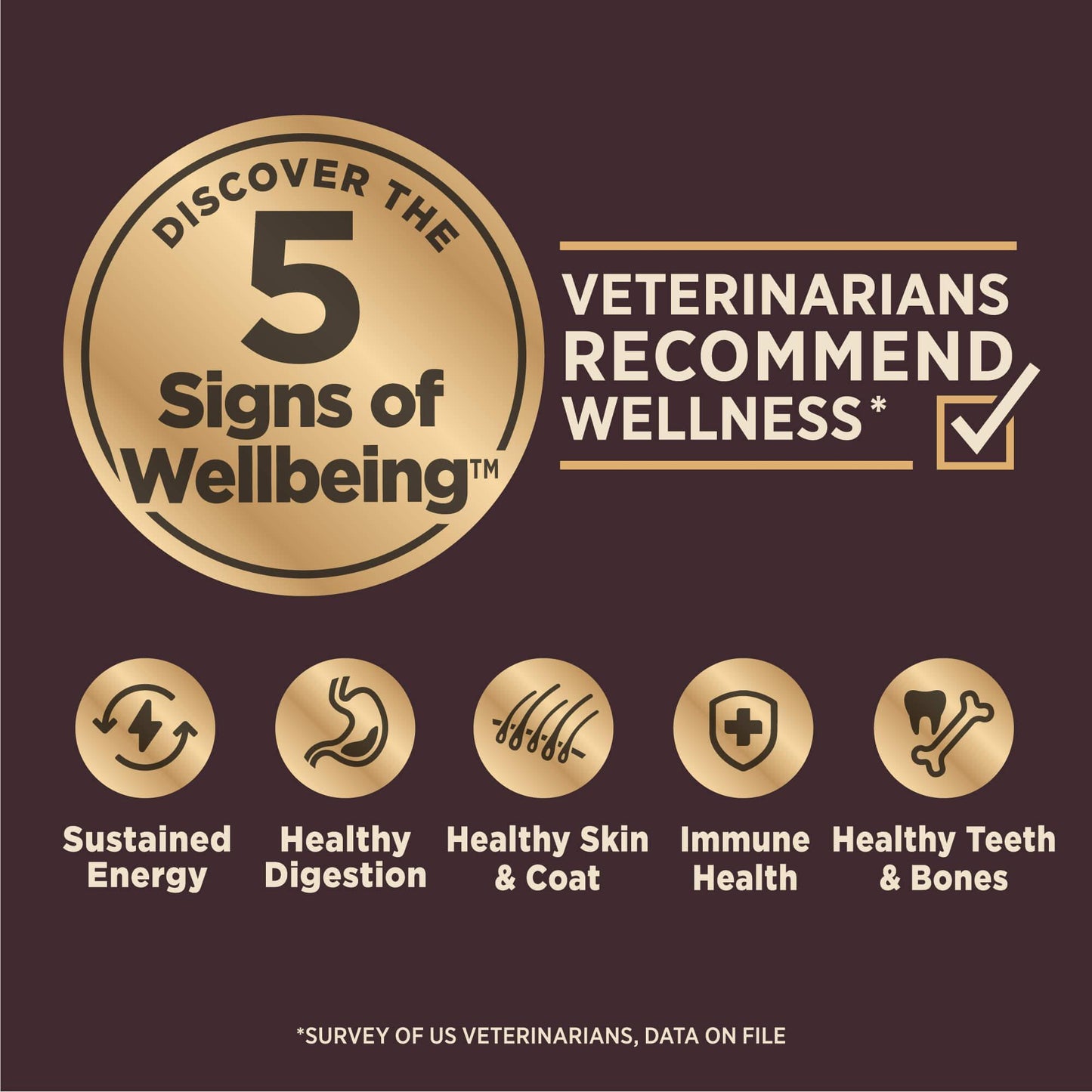 Wellness Core Natural Digestive Health Age Advantage Chicken & Brown Rice Recipe Dry Dog Food