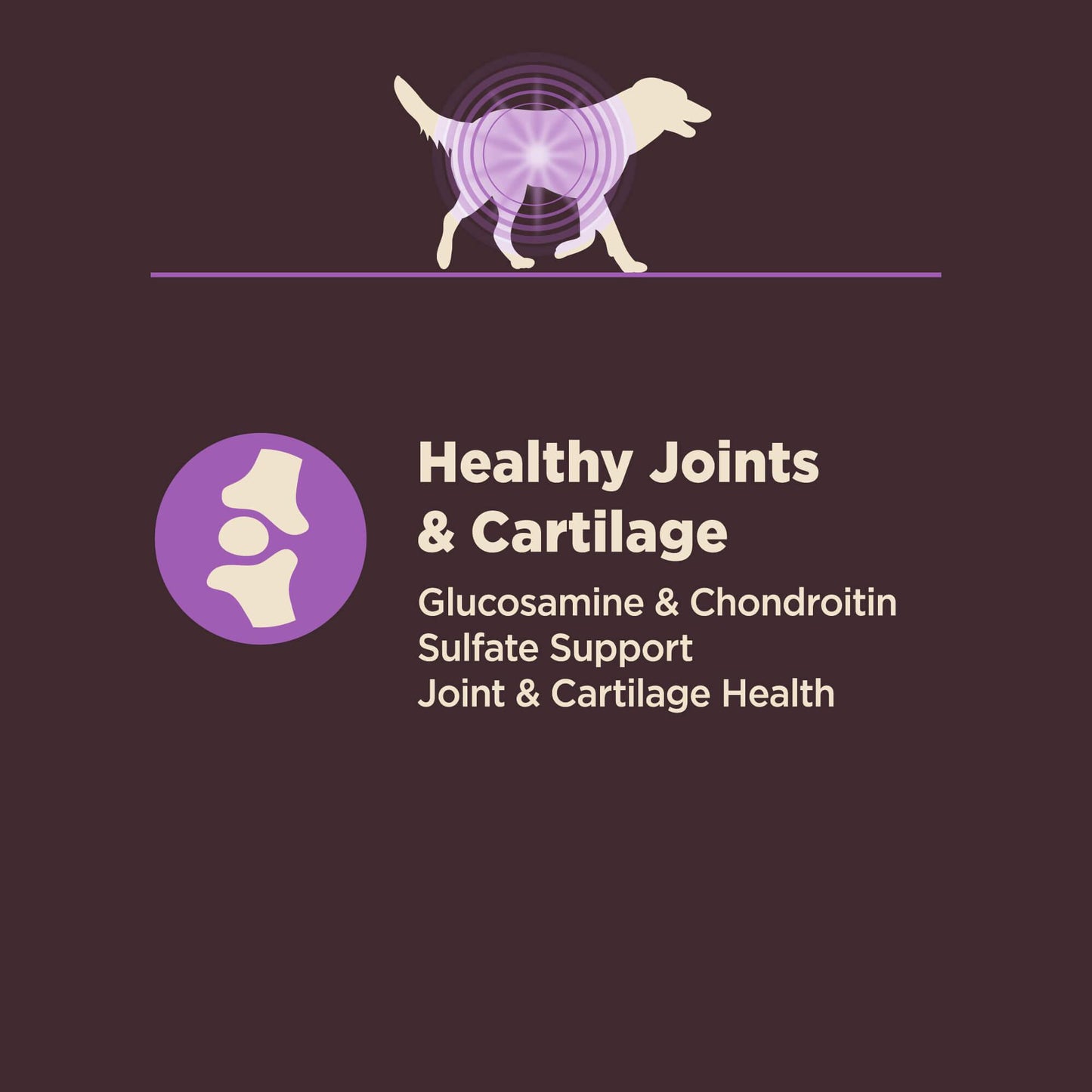 Wellness Core Natural Digestive Health Age Advantage Chicken & Brown Rice Recipe Dry Dog Food