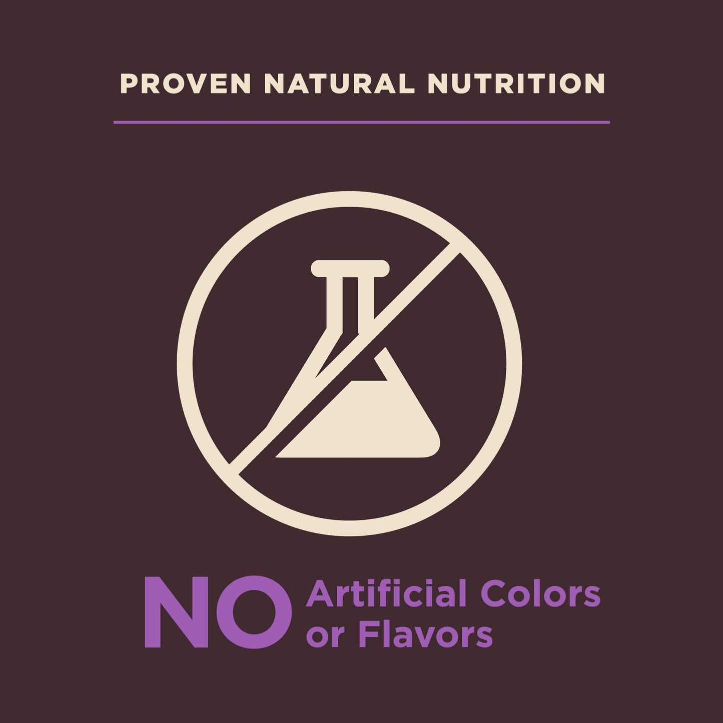 Wellness Core Natural Digestive Health Age Advantage Chicken & Brown Rice Recipe Dry Dog Food