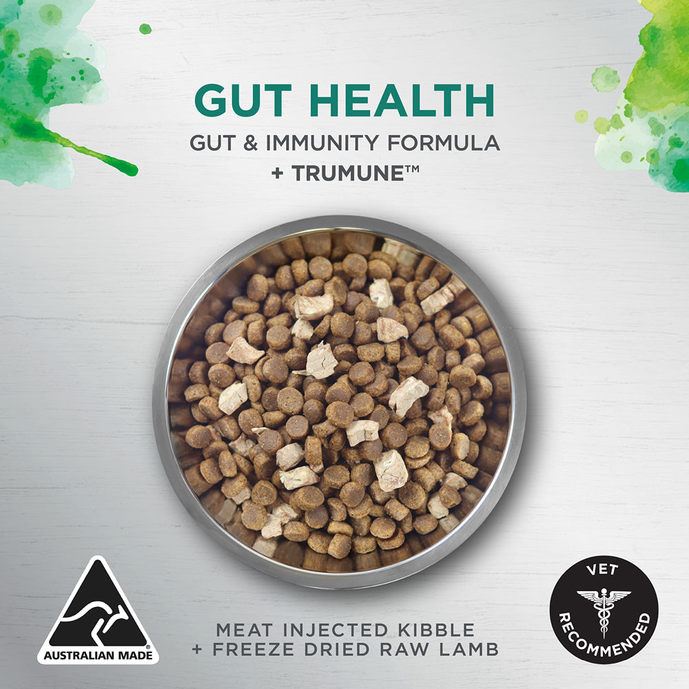 Ivory Coat Raw Health Gut Health Dry Dog Food