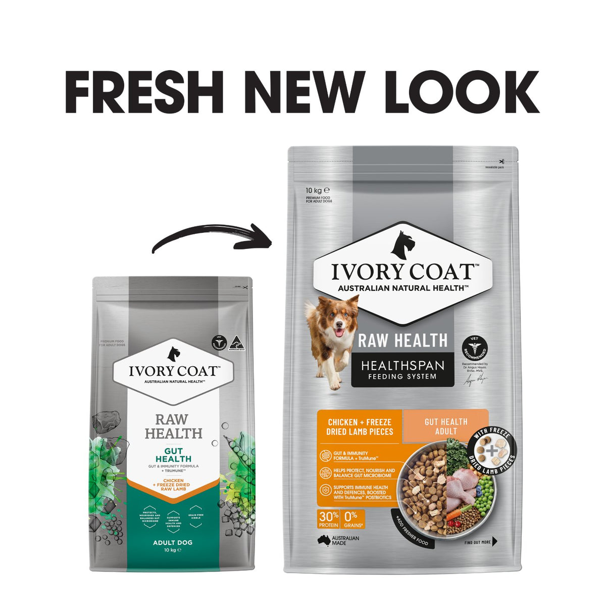 Ivory Coat Raw Health Gut Health Dry Dog Food