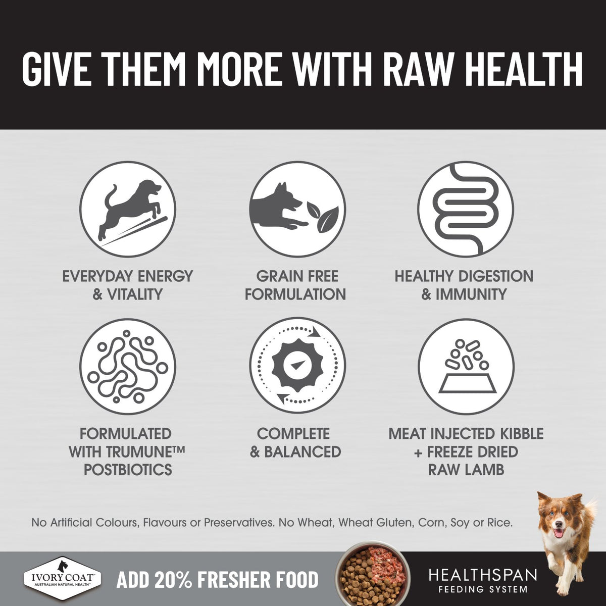 Ivory Coat Raw Health Gut Health Dry Dog Food