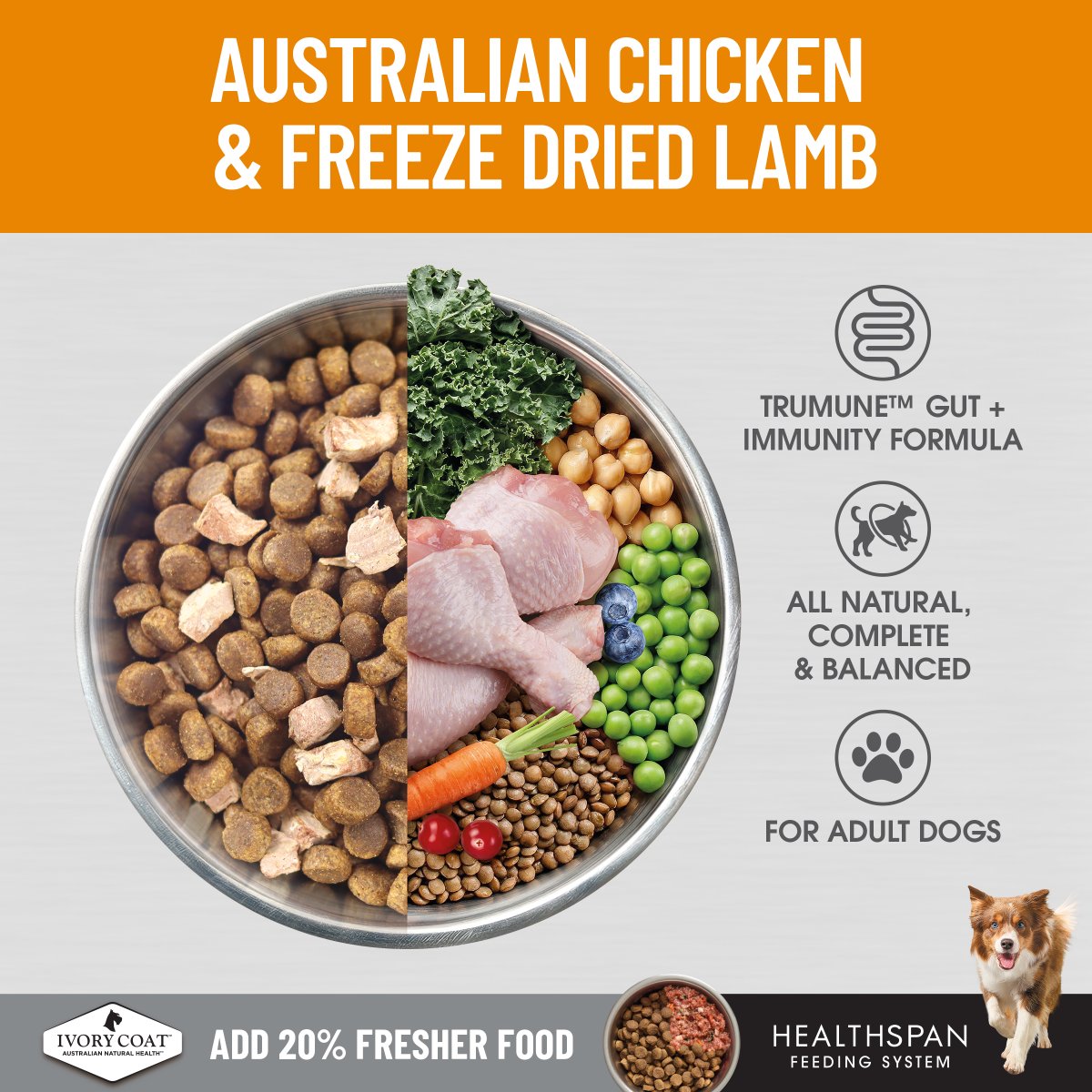 Ivory Coat Raw Health Gut Health Dry Dog Food