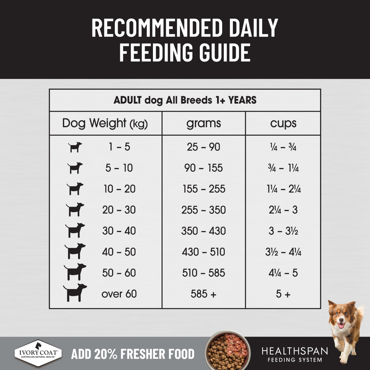 Ivory Coat Raw Health Gut Health Dry Dog Food