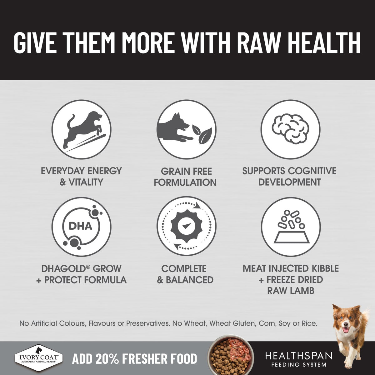 Ivory Coat Raw Health Puppy Immunity Dry Dog Food