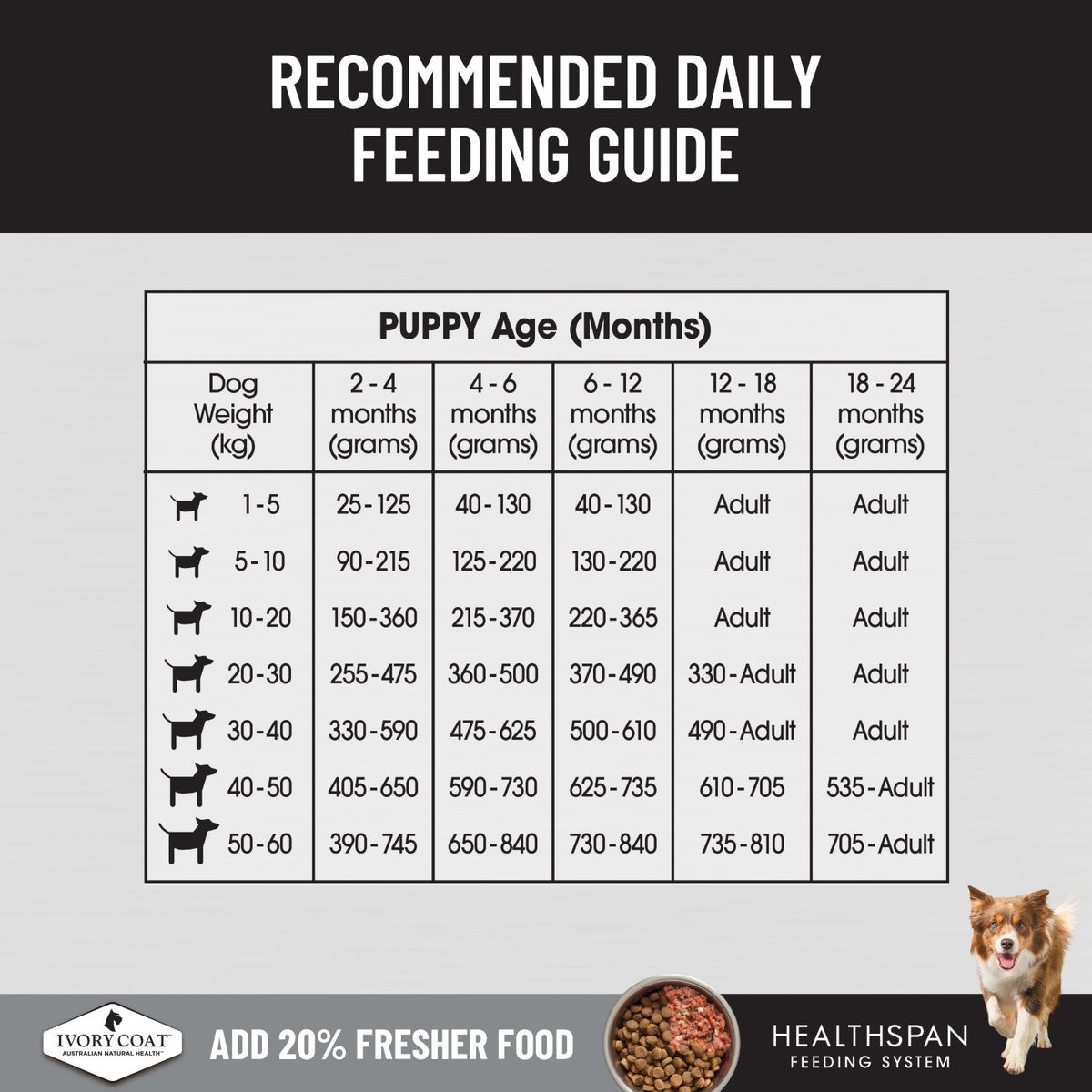 Ivory Coat Raw Health Puppy Immunity Dry Dog Food