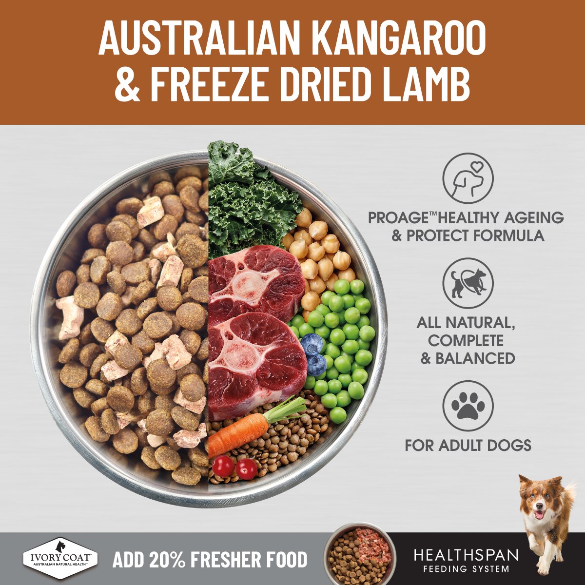 Ivory Coat Raw Health Health & Vitality Dry Dog Food