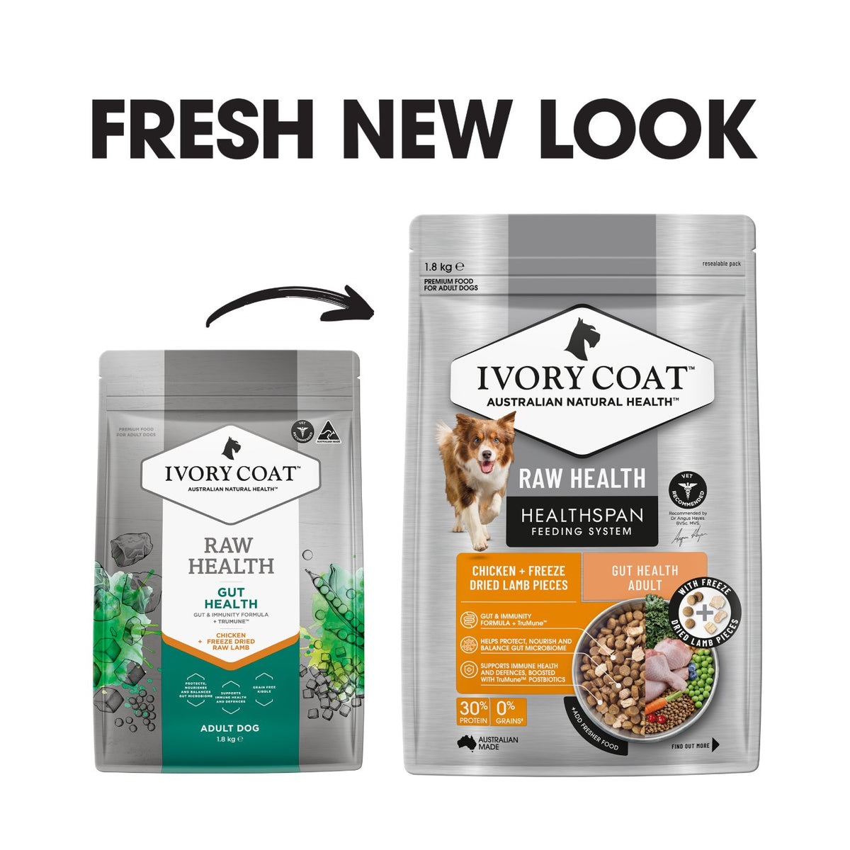 Ivory Coat Raw Health Gut Health Dry Dog Food
