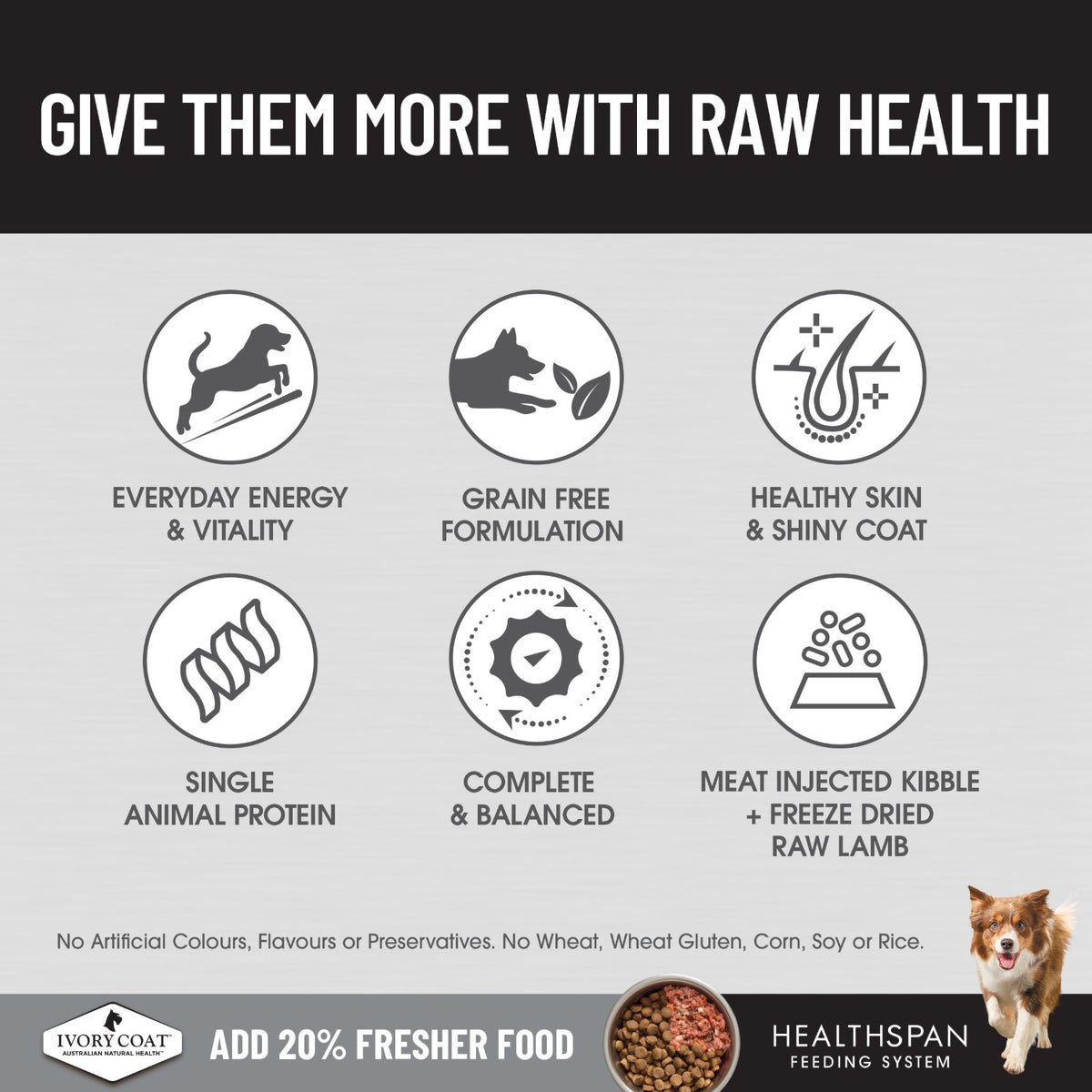 Ivory Coat Raw Health Dog Sensitive Care Dog Food